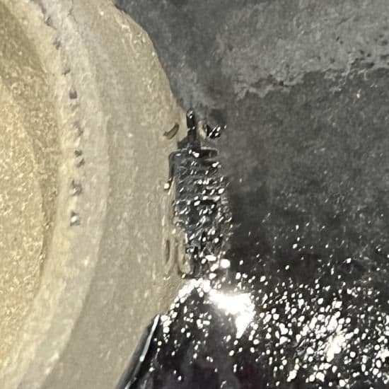 小鹿田焼　小袋窯　3寸皿　豆皿　醤油皿 - 3